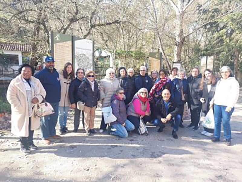 actividades