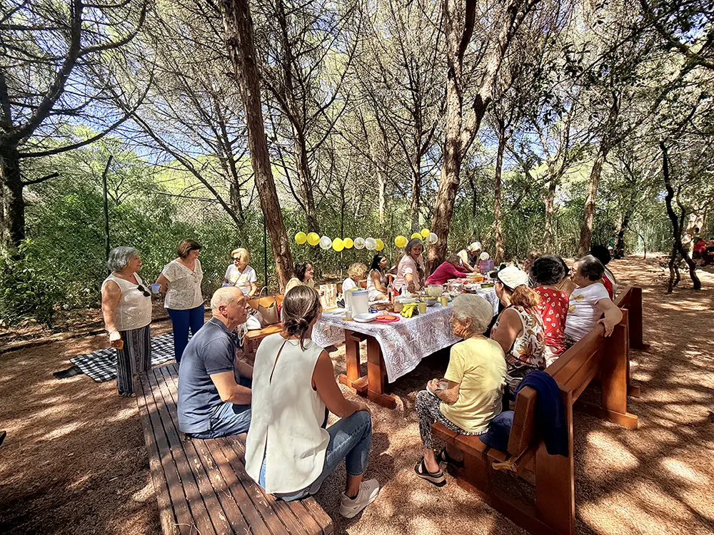 picnic com os voluntariuos