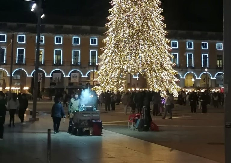 praca com arvore de natal iluminada